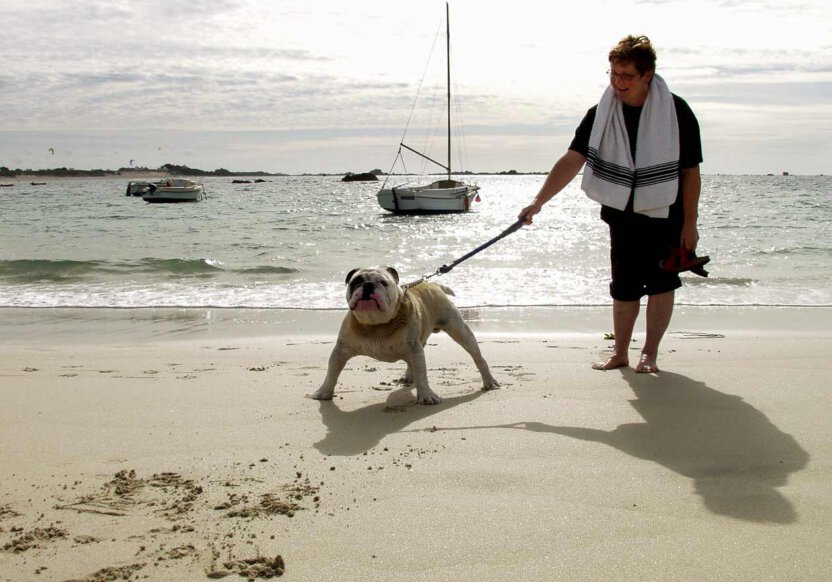 Frau und Hund im Gegenlicht am Strand in die Bretagne