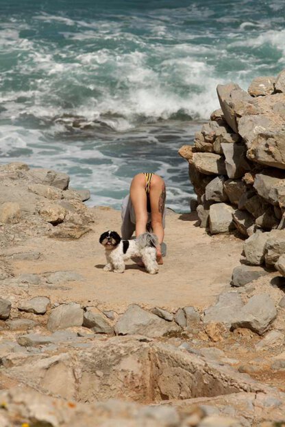 Yoga am Strand mit Hund